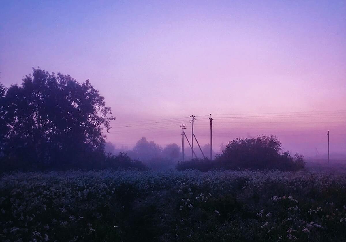 博鱼网站：在数字海洋中寻味娱乐新边界